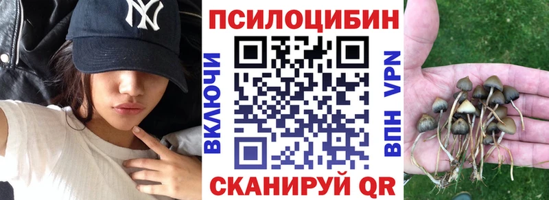 Псилоцибиновые грибы Cubensis  где продают   Баймак 